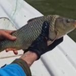 Kovada Gölü’nde 600 metrelik ağ ele geçirildi