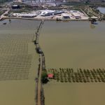 Manisa’da sağanak sonrası akarsular taştı: Tarım arazileri sular altında kaldı