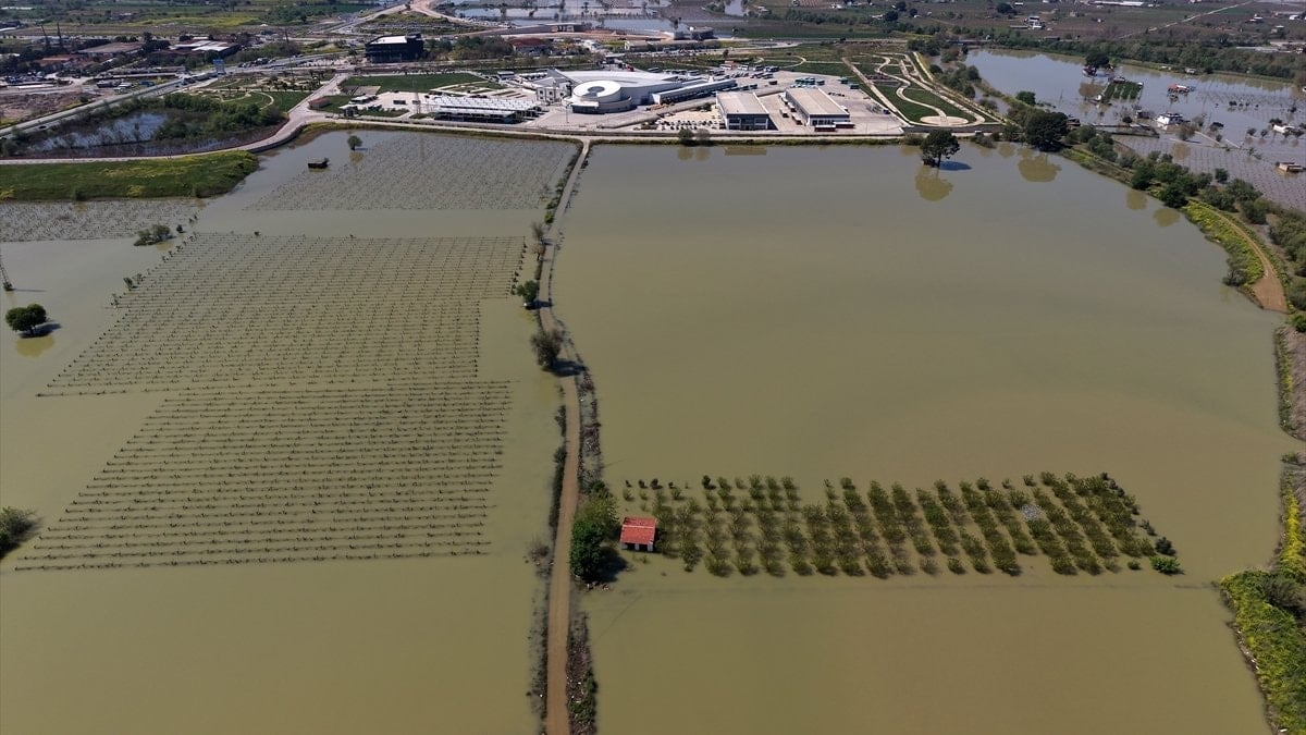 Manisa’da sağanak sonrası akarsular taştı: Tarım arazileri sular altında kaldı