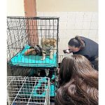 Patili dostlara anlamlı destek