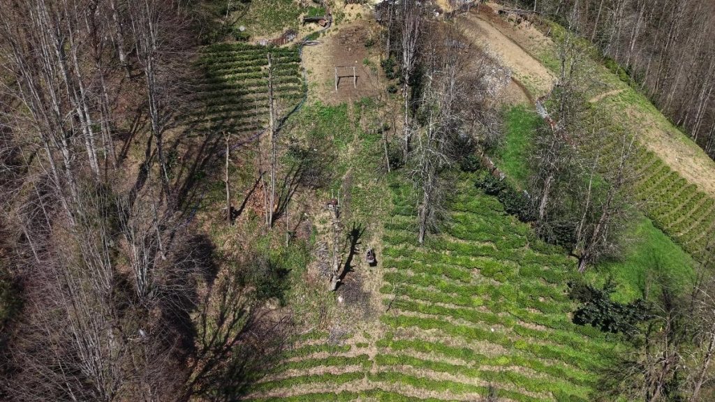 Rize’de yolu olmayan evine çelik tel ile gidiyor