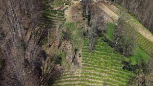 Rize’de yolu olmayan evine çelik tel ile gidiyor