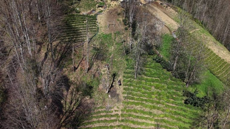 Rize’de yolu olmayan evine çelik tel ile gidiyor