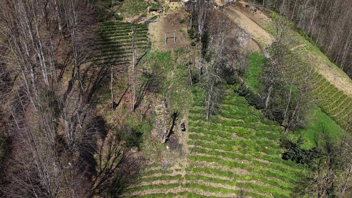 Rize’de yolu olmayan evine çelik tel ile gidiyor