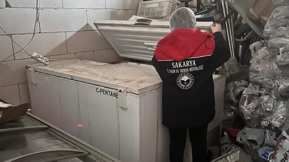 Sakarya’da 200 kilo tarihi geçmiş tavuk eti imha edildi