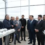 Soğucak Termal Serası’nda Üretim Başladı