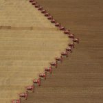 Trump’ın açıklamaları tahıl ve yağlı tohum fiyatlarını yukarı taşıdı