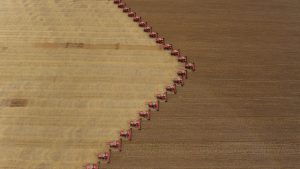 Trump’ın açıklamaları tahıl ve yağlı tohum fiyatlarını yukarı taşıdı