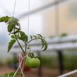 Yenişehir’den eğitime ‘Yeşil’ destek