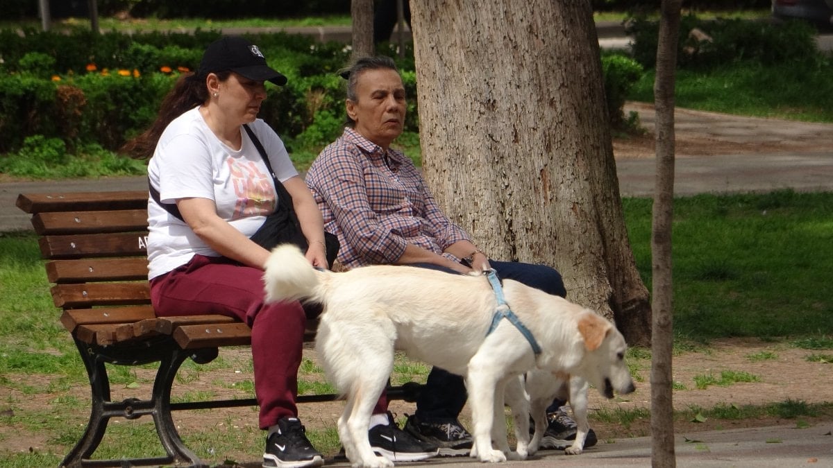 Adana’ya Nisan ayında yaz geldi: Vatandaşlar kendini dışarı attı