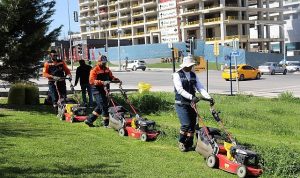 Çankaya Parklarında Çim Biçme Çalışması