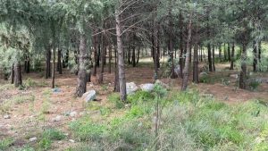 Hatay’da oğlu silahla öldürülen annenin cesedi toprağa gömülü bulundu