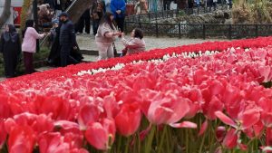 İstanbul’da lale dönemi başladı