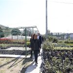 Karşıyaka Belediyesi üretiyor, parklar çiçek açıyor