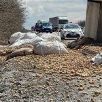 Kütahya’da devrilen tırda bulunan patatesler yola saçıldı