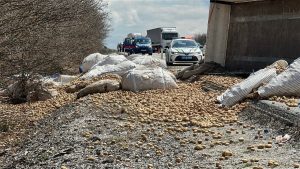 Kütahya’da devrilen tırda bulunan patatesler yola saçıldı