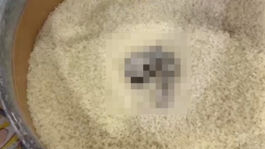 Mersin’de açıkta satılan pirinçte kedi dışkısı tespit edildi: Markete ceza yağdı