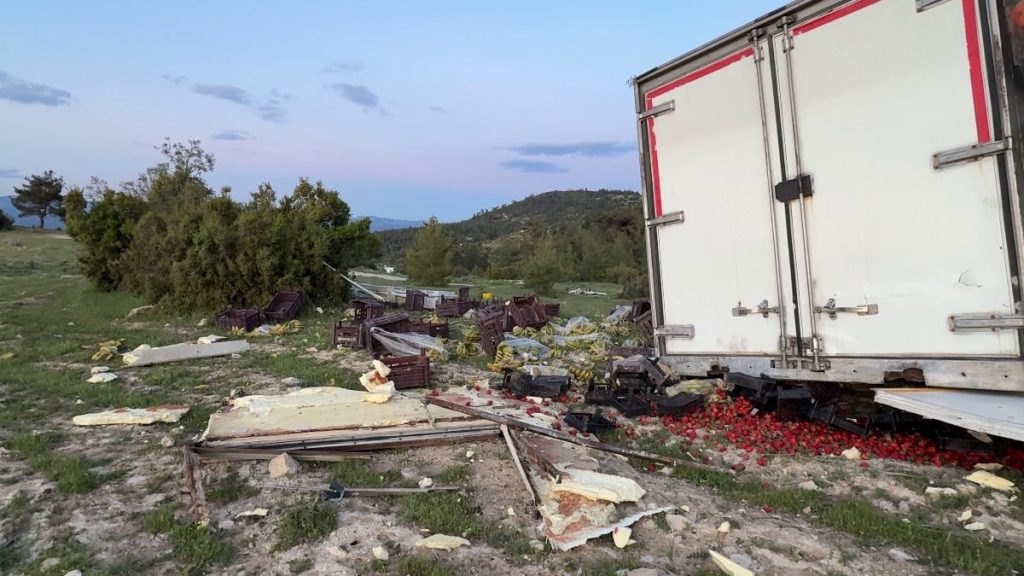 Mersin’de freni boşalan sebze yüklü TIR ağaca çarparak durabildi