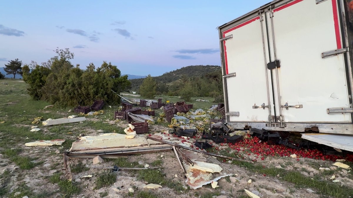 Mersin’de freni boşalan sebze yüklü TIR ağaca çarparak durabildi