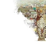 Nilgiri Dağlarını Keşfe Çıkaran ‘Nilgiris: Mavi Dağların Hikayesi’, 22 Nisan Çarşamba 20.00’de National Geographic WILD Ekranlarında!