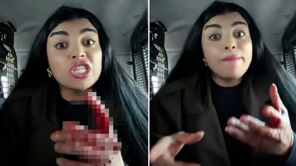 TikTok yayınında dehşet anları: Yayıncı Karagül sokak ortasında bir kadını bıçakladı