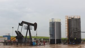 TPAO’nun bazı sahaları için kamulaştırma kararı 