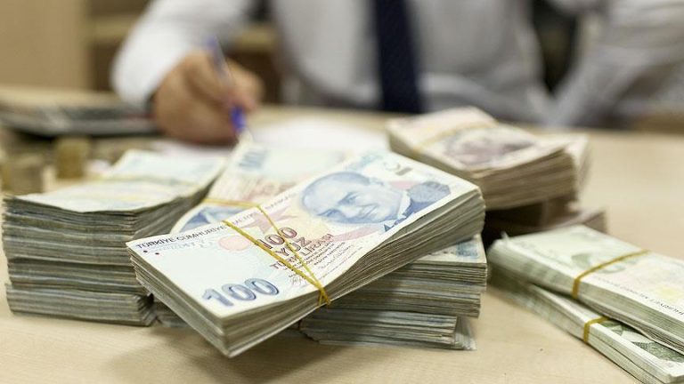 Türk Lirası Değer Kazandı: Reel Efektif Döviz Kuru Nisan Ayında Yükselişe Geçti