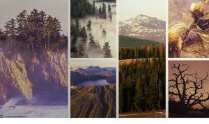 ‘Ulusal Parklar: Amerika Özel’, 3 Mayıs Pazar Saat 20.00’de National Geographic WILD Ekranlarında İzleyicilerle Buluşuyor!