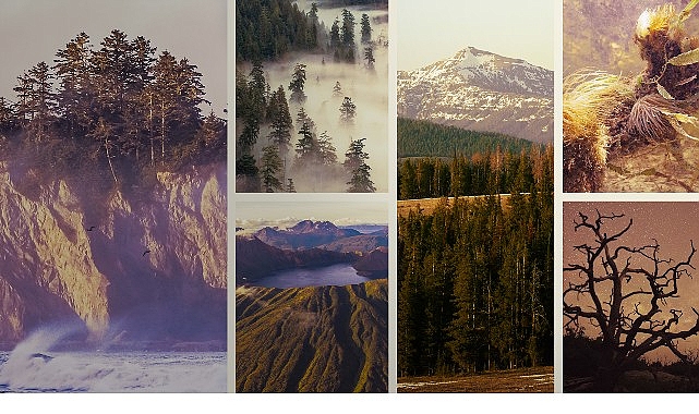 ‘Ulusal Parklar: Amerika Özel’, 3 Mayıs Pazar Saat 20.00’de National Geographic WILD Ekranlarında İzleyicilerle Buluşuyor!